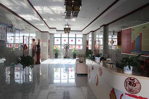 養(yǎng)老服務在鄉(xiāng)村振興中的實踐與挑戰(zhàn)